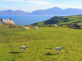 Visit out of the way places, and get away from the crowds with Inroads Ireland tours,  Ireland's best back roads tour company